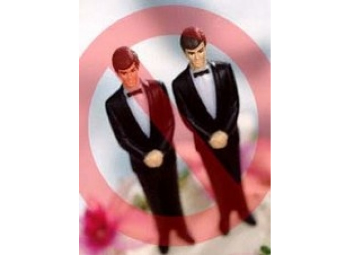 Le unioni gay non sono famiglia Le unioni gay non sono famiglia